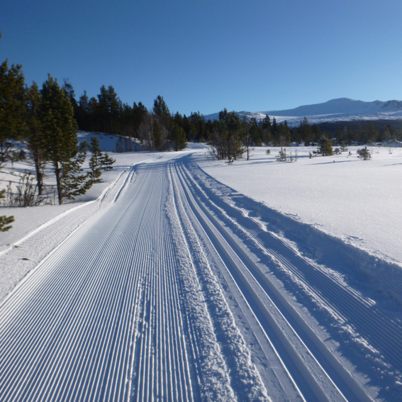skiløyperb skispor  Sjodalen Hyttetun Saga Fjelltun Jotunheimen preparerte løyper